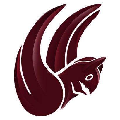 فروشگاه اینترنتی دوبال